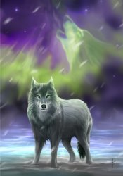 Aura Wolf