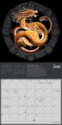 Anne Stokes 2022 Dragon Mini Calendar
